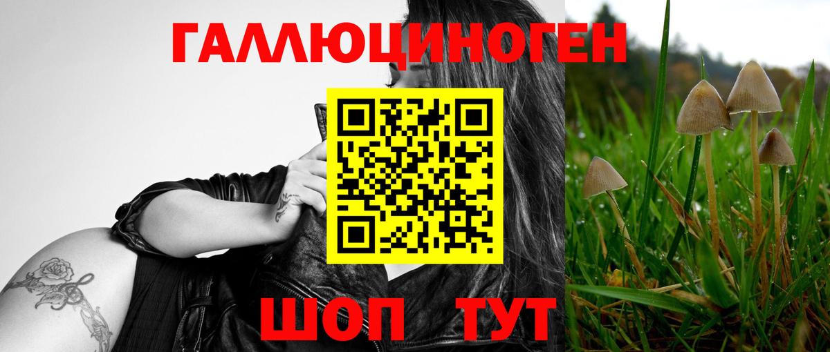 Галлюциногенные грибы мицелий  Вход с VPN  Кострома 